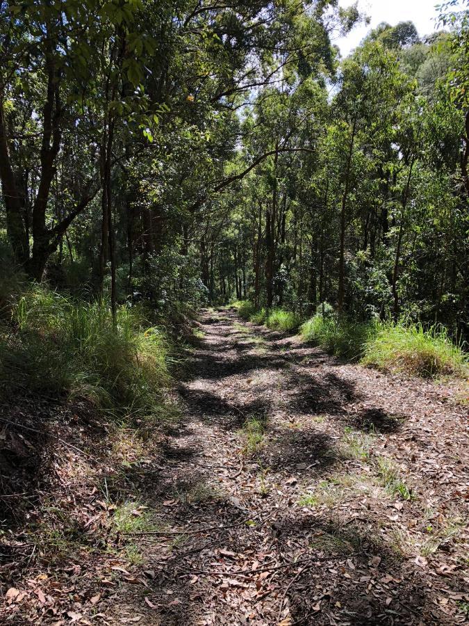 The Ridge At Maleny Villa Buitenkant foto